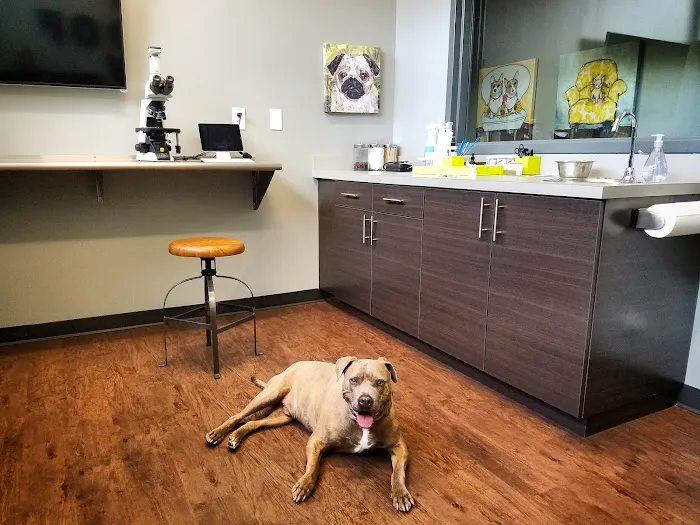 Oak Heart Veterinary Hospital at Person Street Picture 5