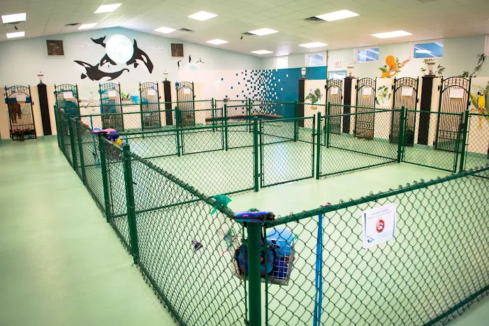 Dogwood Veterinary Hospital and Pet Resort Picture 3