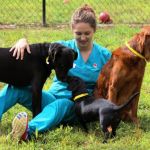 Dogwood Veterinary Hospital and Pet Resort