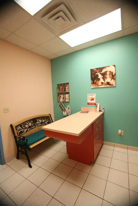 Dogwood Veterinary Hospital and Pet Resort Picture 2