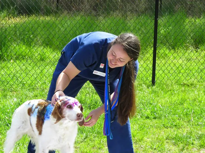 Dogwood Veterinary Hospital and Pet Resort Picture 6
