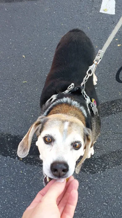 VCA Three Notch Animal Hospital Picture 6