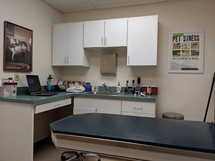 All Kinds Veterinary Hospital Picture 9