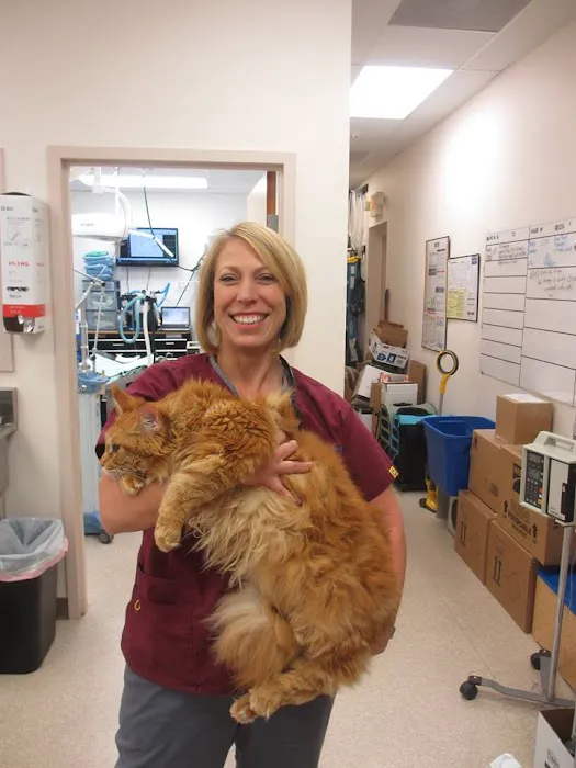 All Kinds Veterinary Hospital Picture 6