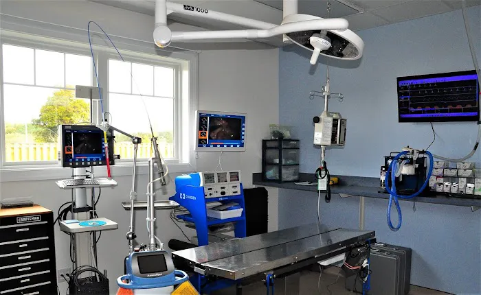 All Kinds Veterinary Hospital Picture 1