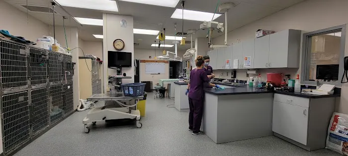 VCA St. Mary's Animal Hospital Picture 4