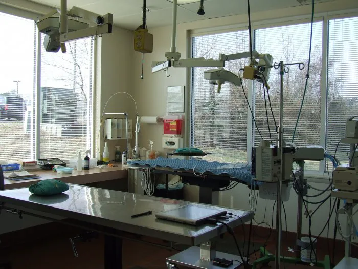 VCA St. Mary's Animal Hospital Picture 3