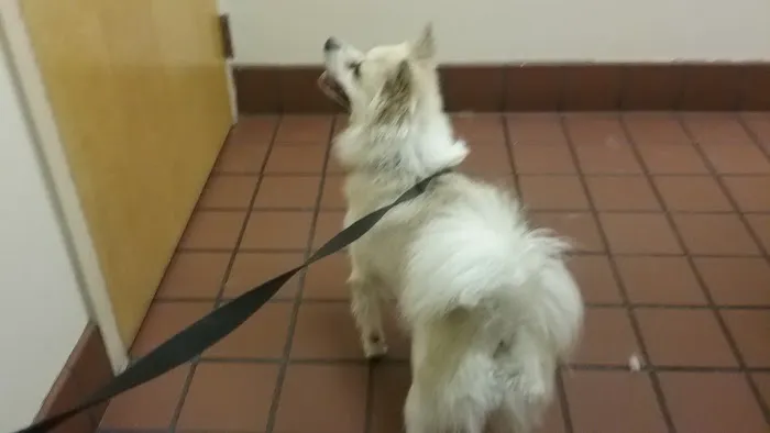 VCA St. Mary's Animal Hospital Picture 6