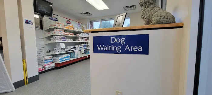 VCA St. Mary's Animal Hospital Picture 7
