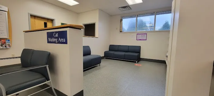 VCA St. Mary's Animal Hospital Picture 1