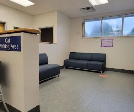 VCA St. Mary's Animal Hospital