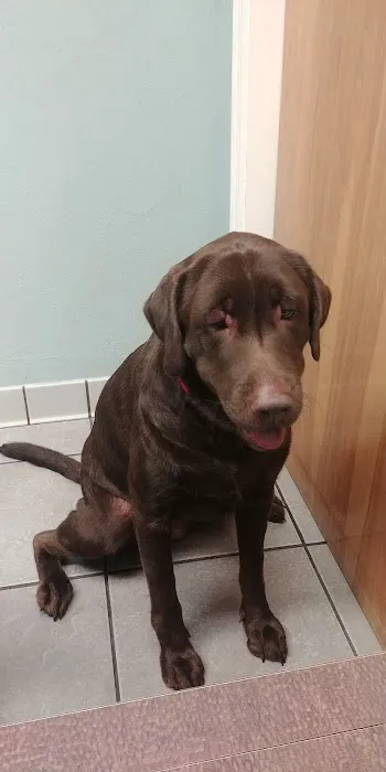 Solomons Veterinary Medical Center Picture 1