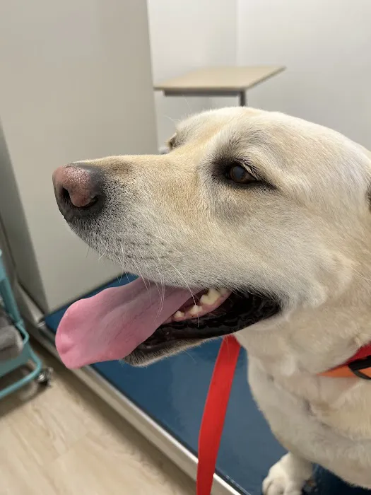 Solomons Veterinary Medical Center Picture 3