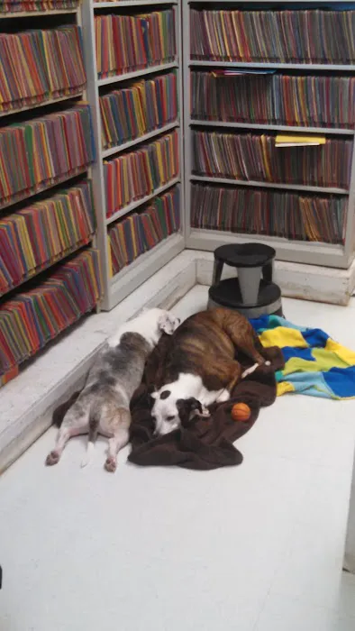 Well Pet Clinic Picture 8