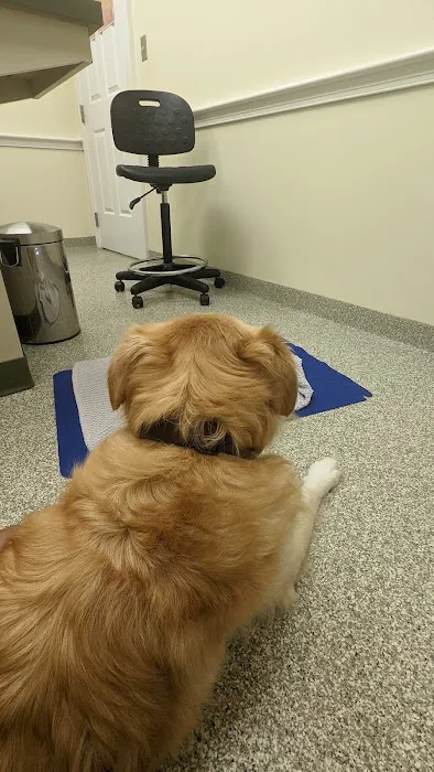 Cary Street Veterinary Hospital Picture 5