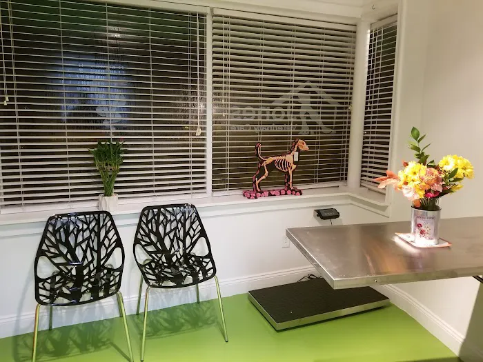 Jones Veterinary Care PLLC Picture 5