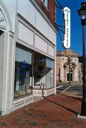 Church Hill Animal Hospital Picture 7
