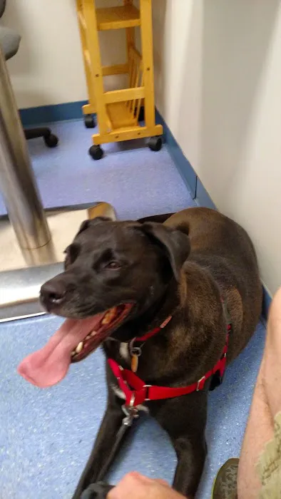 Church Hill Animal Hospital Picture 2