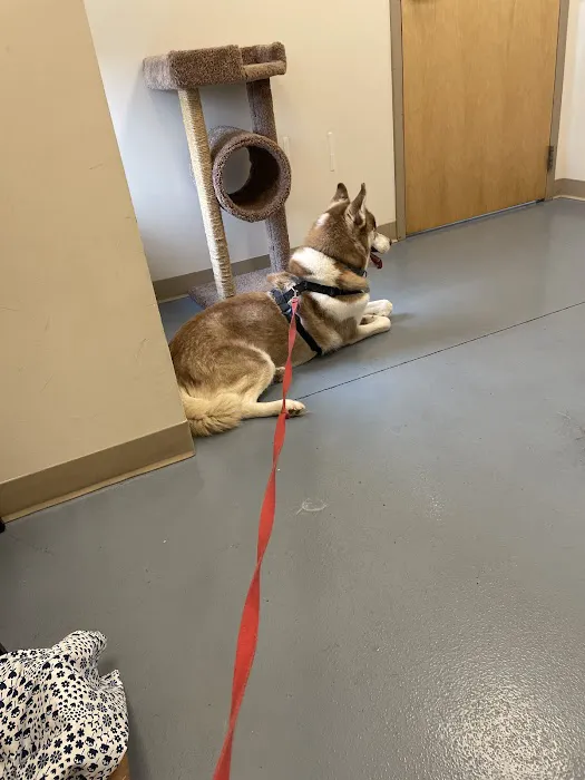 Kinship Animal Hospital Picture 5