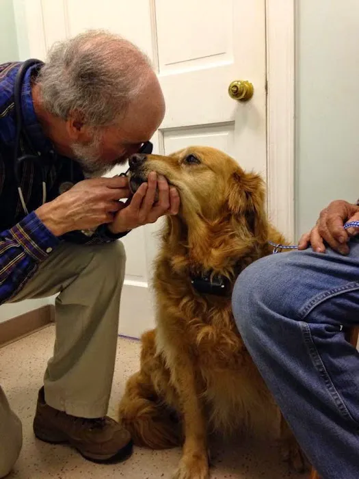 Varina Veterinary Clinic Picture 2