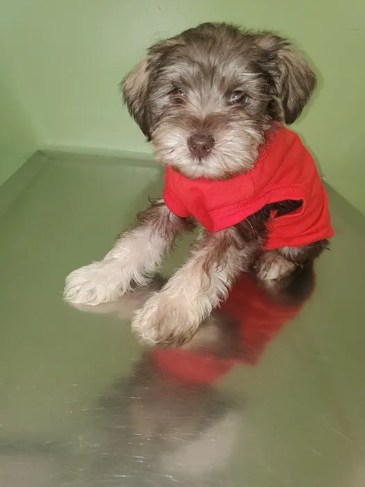 Varina Veterinary Clinic Picture 1