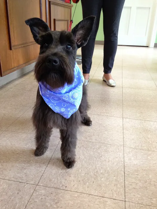 Varina Veterinary Clinic Picture 7