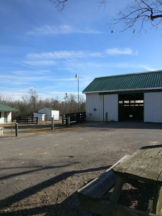 River Equine Veterinary Services, PLLC Picture 9