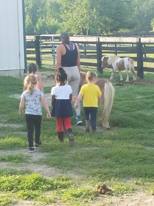 River Equine Veterinary Services, PLLC Picture 3