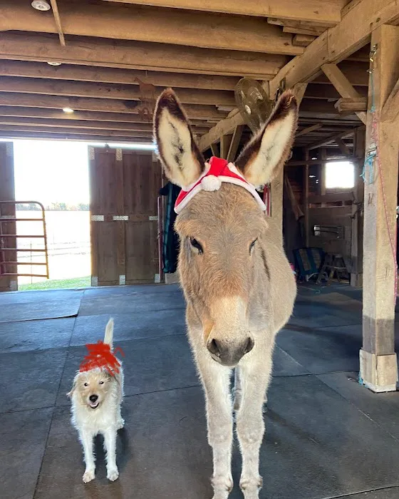 River Equine Veterinary Services, PLLC Picture 8