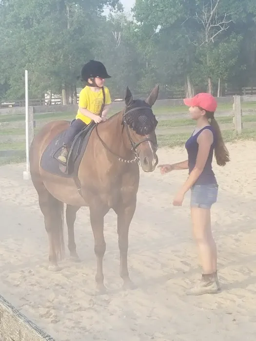 River Equine Veterinary Services, PLLC Picture 2