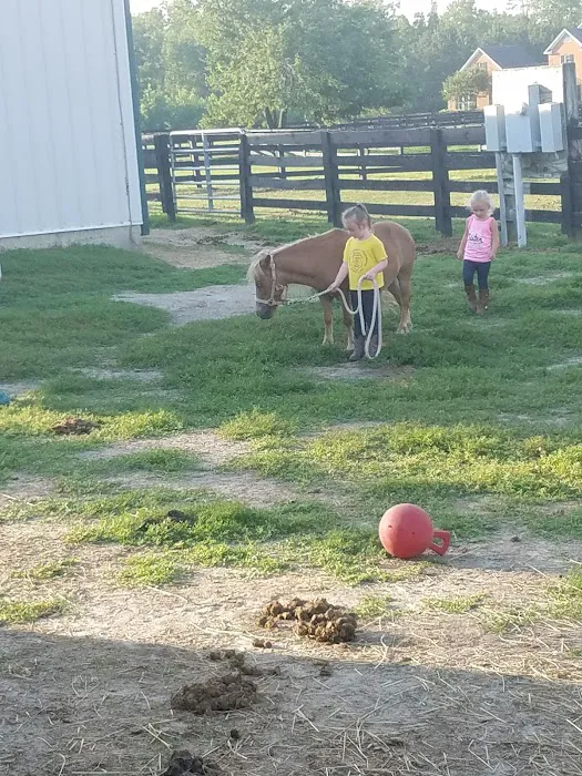 River Equine Veterinary Services, PLLC Picture 4