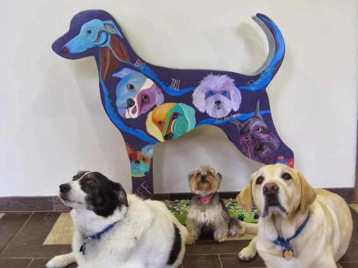 Winterfield Veterinary Hospital Picture 10