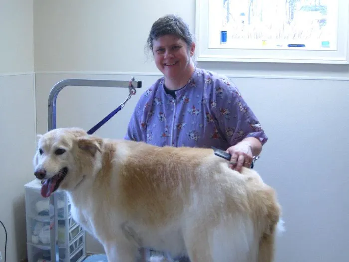 Winterfield Veterinary Hospital Picture 1