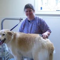 Winterfield Veterinary Hospital ico