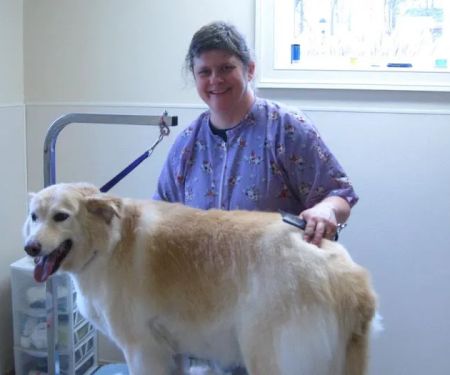 Winterfield Veterinary Hospital