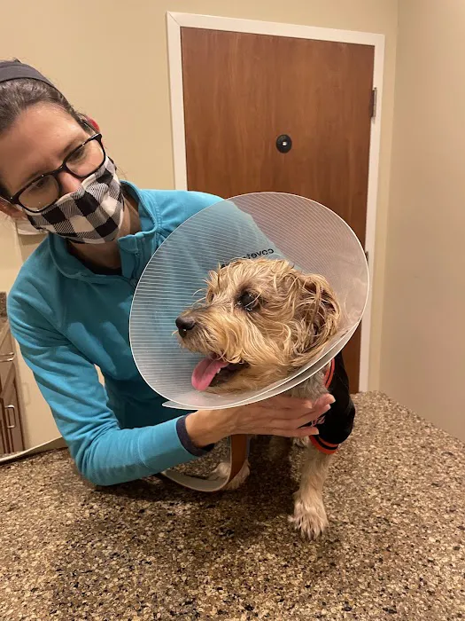 Animal Eye Care of Richmond Picture 8