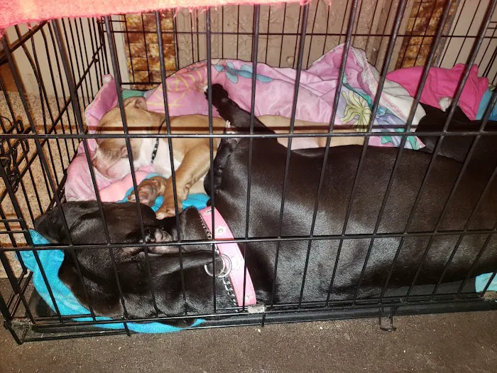 Maplewood Animal Clinic Picture 8