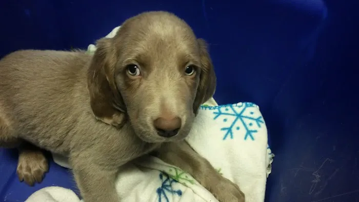 Kingston Veterinary Hospital Picture 4