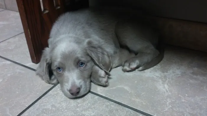 Kingston Veterinary Hospital Picture 2