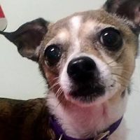 Canal's Edge Veterinary Clinic ico