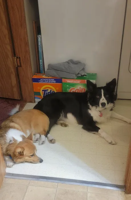 Greenfield Veterinary Clinic Picture 4