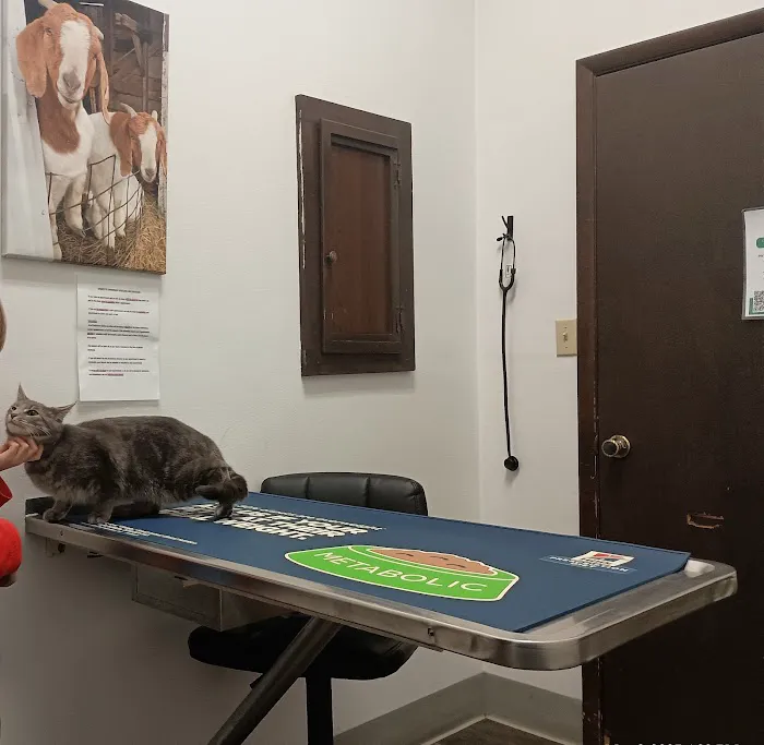 Greenfield Veterinary Clinic Picture 9