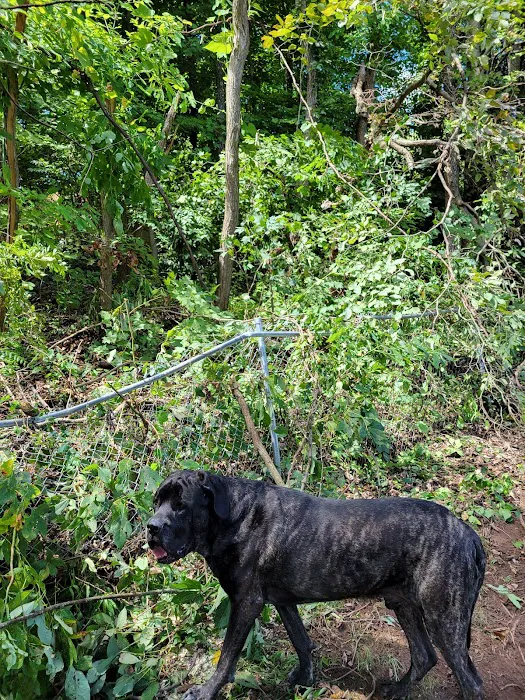 Brookhill Animal Clinic Picture 9