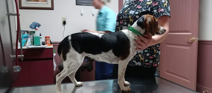 Paint Creek Veterinary Clinic Picture 1