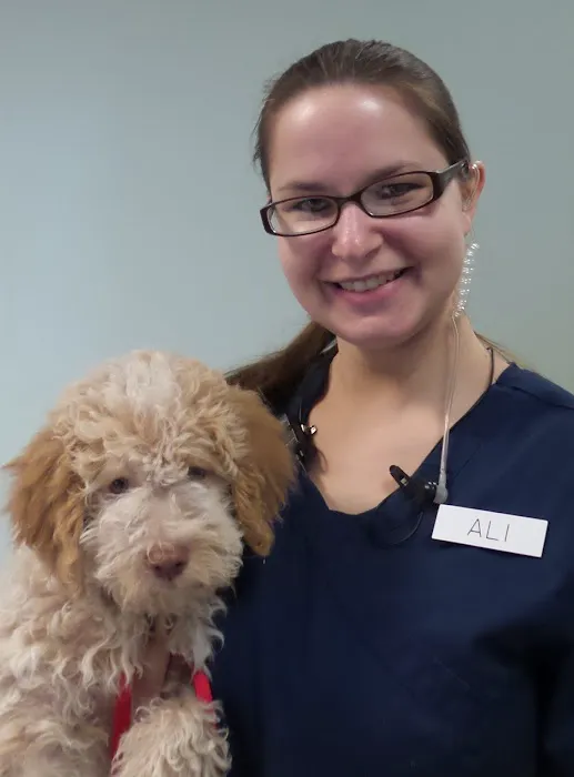 Ohio Veterinary Dental Service Picture 8