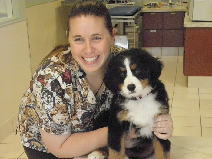 Ohio Veterinary Dental Service Picture 6