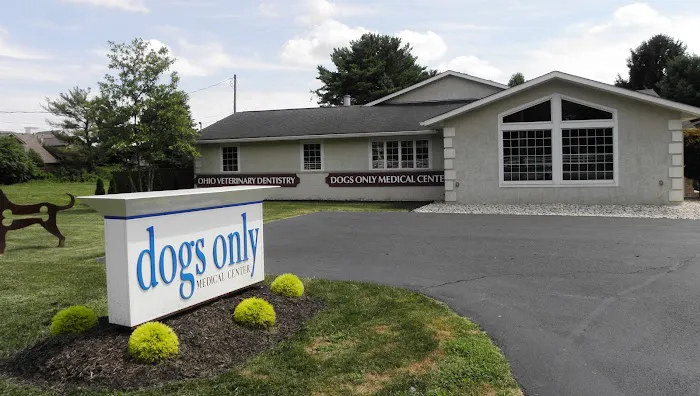 Ohio Veterinary Dental Service Picture 3