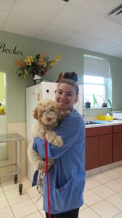 Ohio Veterinary Dental Service Picture 9