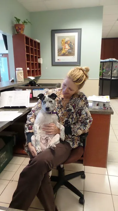 Ohio Veterinary Dental Service Picture 2
