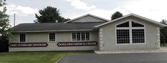 Ohio Veterinary Dental Service Picture 1
